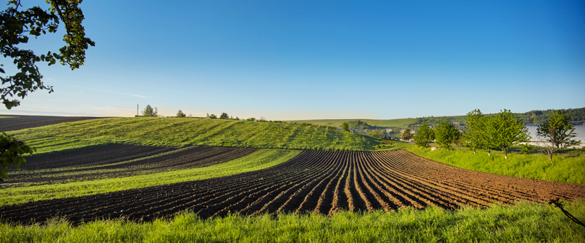paysage printemps champ laboure fond beau ciel bleu sol laboure agriculture concept copy space